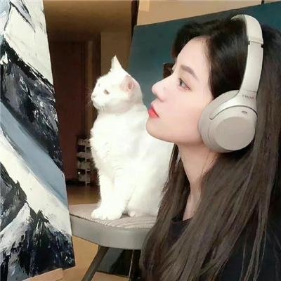 在我的梦中